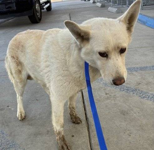 Crystal (#A1182490)