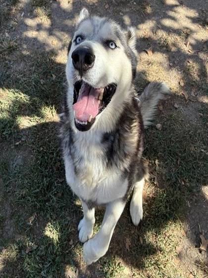 Charles (#A1934669)