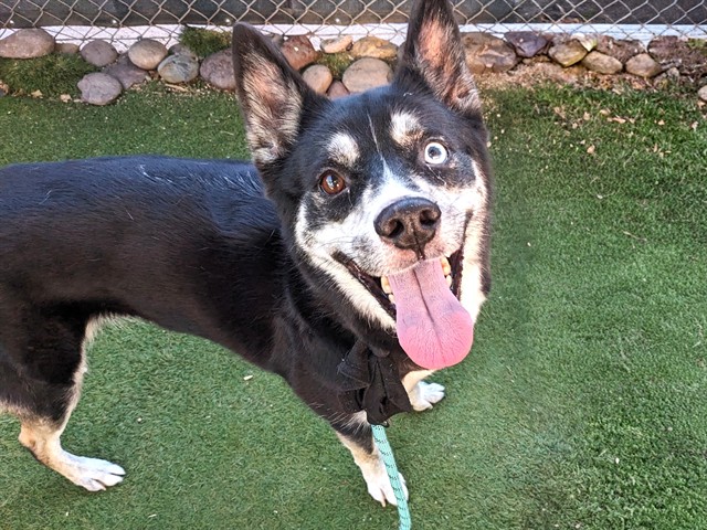 Eva (#A5172528)
