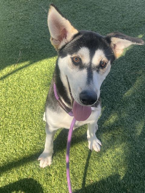 Mo (#A5801827)