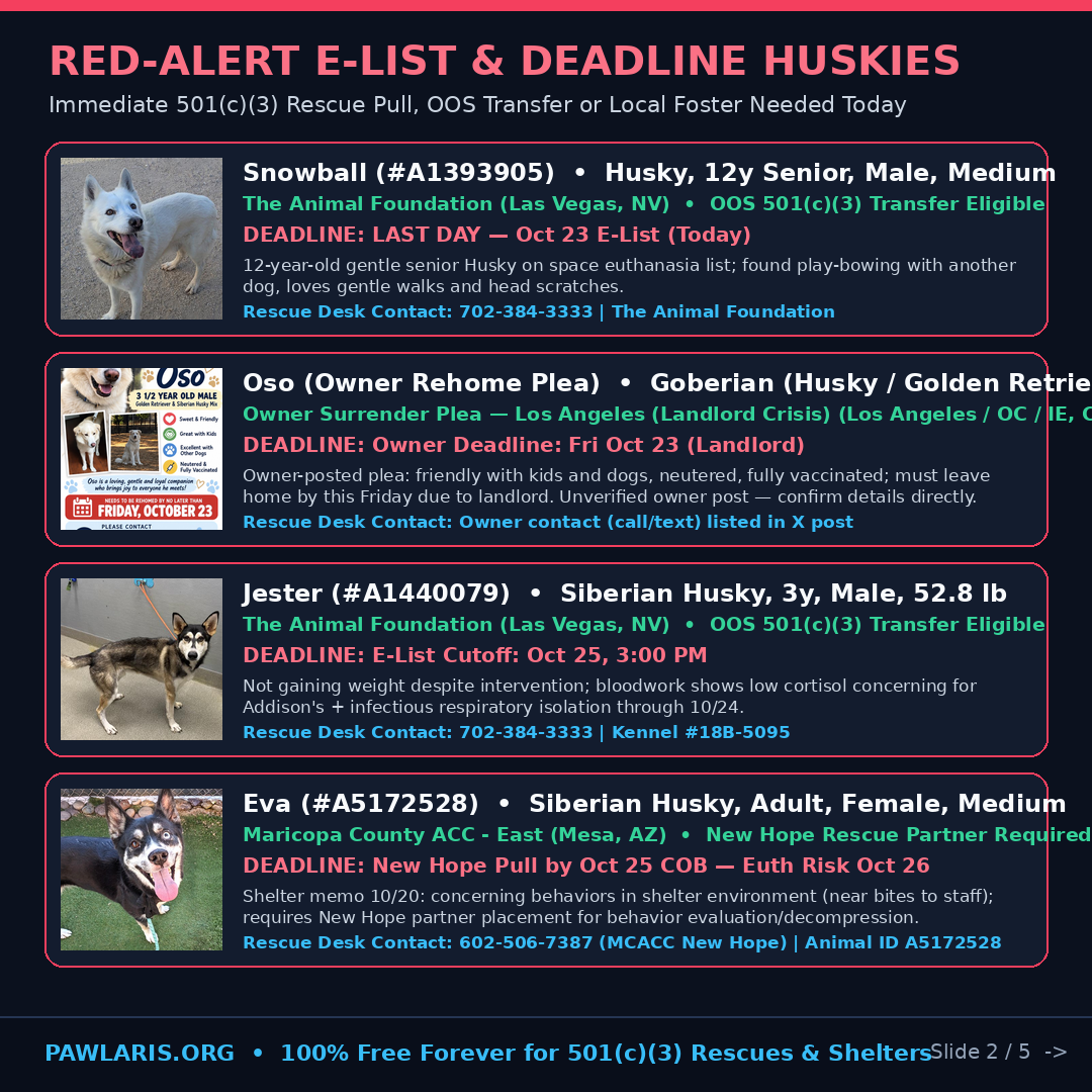 Slide 2 — Red-Alert Deadline & E-List Huskies (Snowball, Oso, Jester, Eva)