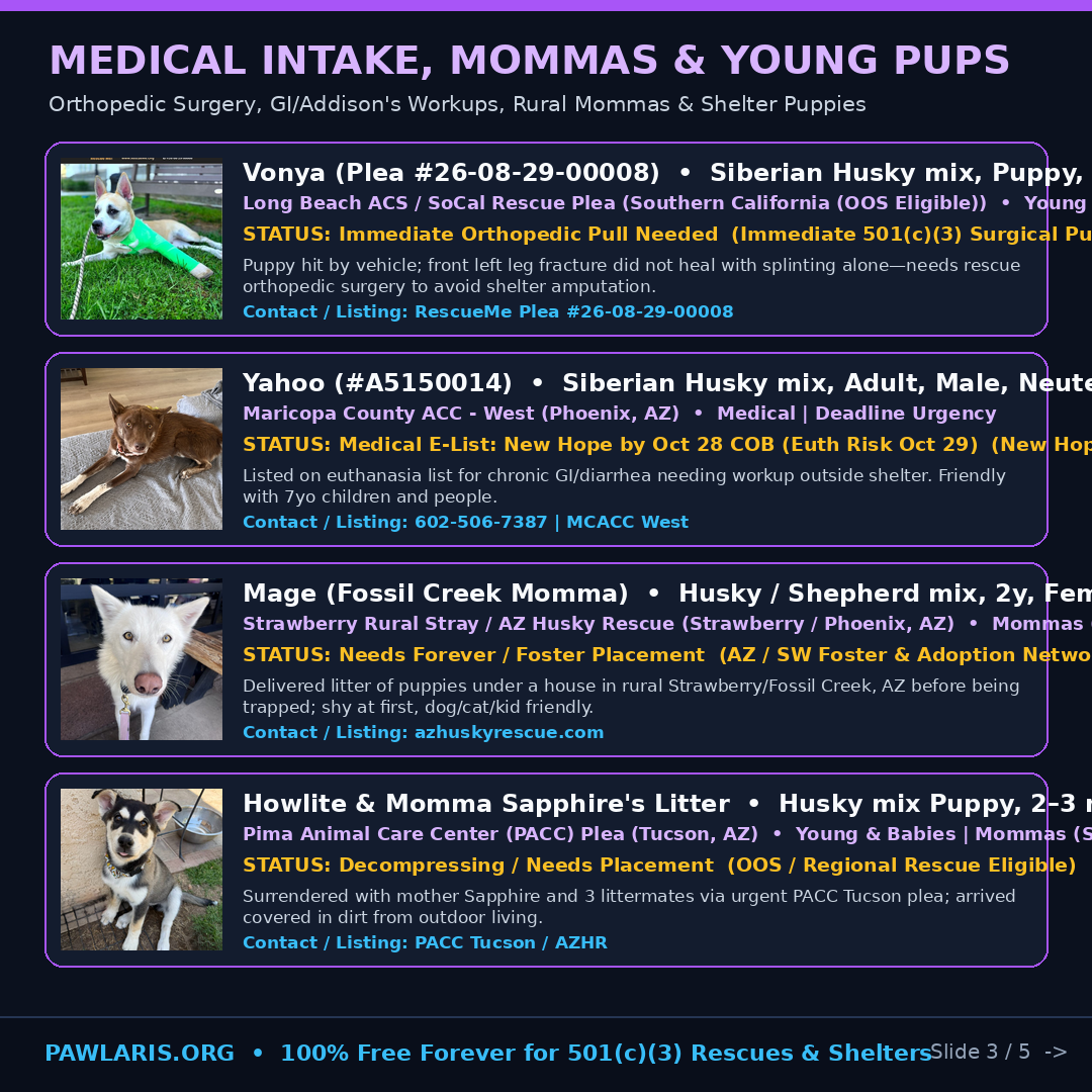 Slide 3 — Medical Intake, Mommas & Puppies (Vonya, Yahoo, Mage, Howlite)